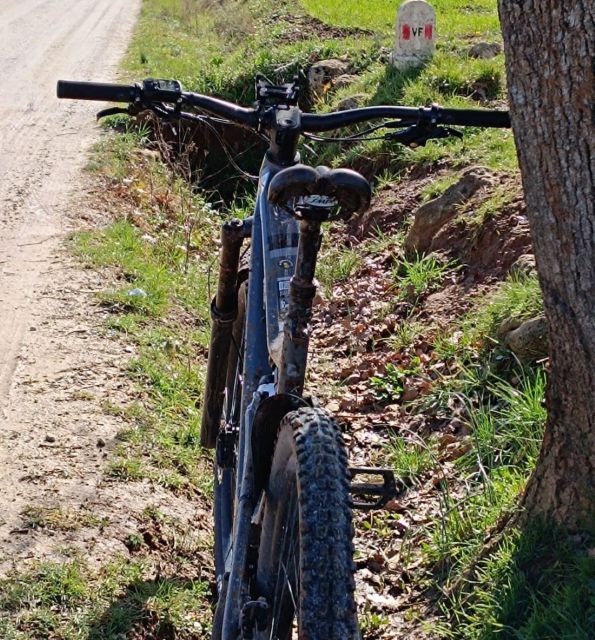 Siena - Rent Your E-Bike and Discover Siena - Participant Suitability Requirements