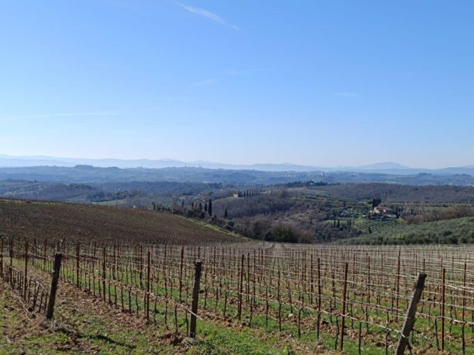 Siena - Rent Your E-Bike and Discover Siena - Booking and Cancellation Policy