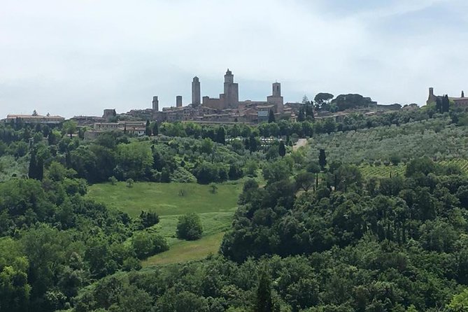 Siena, San Gimignano and Pisa From Lucca - Exploring Siena