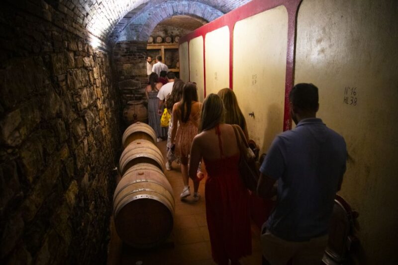 Siena & San Gimignano by Night: Tour With Dinner - Important Information