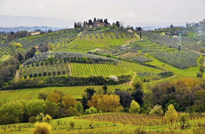 Siena: Small Group Cooking Class in Chianti Farmhouse - Learning Traditional Techniques