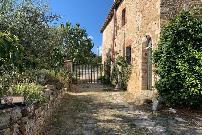 Siena: Small Group Cooking Class in Chianti Farmhouse - Group Size and Cancellation Policy