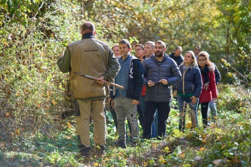 Siena - Truffle Hunt With Lunch and Brunello DOCG - Itinerary and Highlights