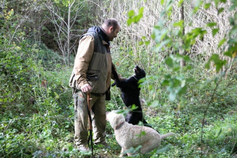 Siena - Truffle Hunt With Lunch and Brunello DOCG - Guided Tour and Winery Visit