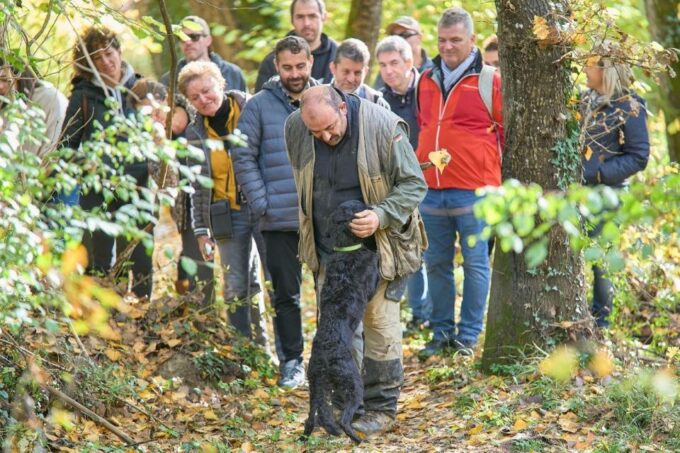 Siena - Truffle Hunt With Lunch and Brunello DOCG - Important Considerations