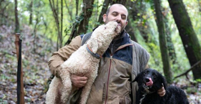 Siena - Truffle Hunt With Lunch and Brunello DOCG - Booking and Reservation Details
