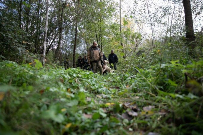 Siena - Truffle Hunt With Lunch and Brunello DOCG - Suitability and Recommendations