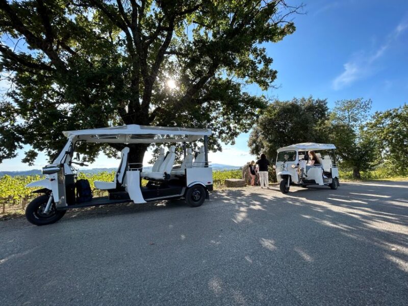 Siena: Tuk Tuk Tour With Wine Tasting - Scenic Views and Countryside