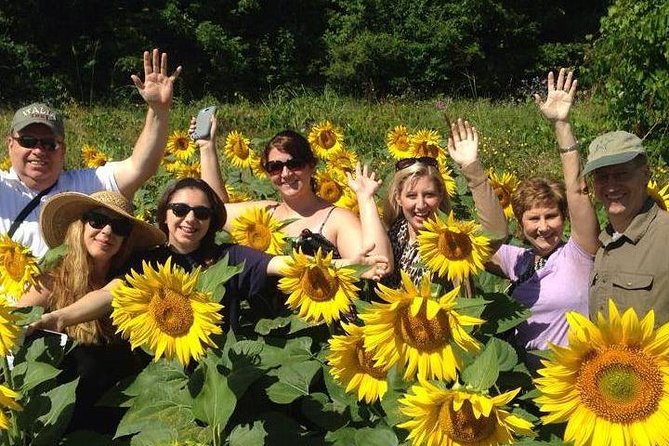 Siena & Tuscany - Customer Reviews