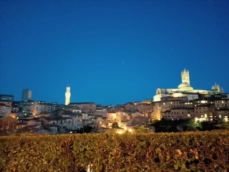 Siena Underground Wine Tasting in a Medieval Cave - Wines Featured in the Tasting