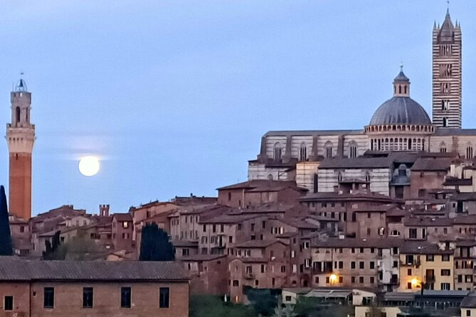 Siena Underground Wine Tasting in a Medieval Cave - Guided Tour With Sommelier Expertise