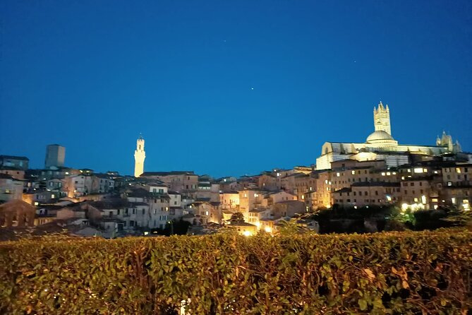 Siena Underground Wine Tasting in a Medieval Cave - Exclusive Access to Private Cave