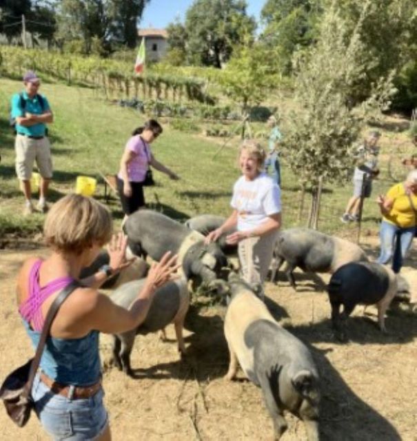 Siena: Visit to the Typical Cinta Pig Farm - Frequently Asked Questions