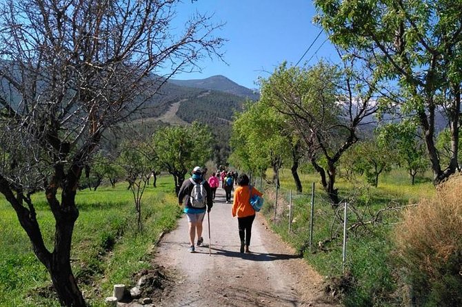 Sierra De Aracena: Grotto of Wonders, Hiking and Ecological Picnic. - About Your Stay