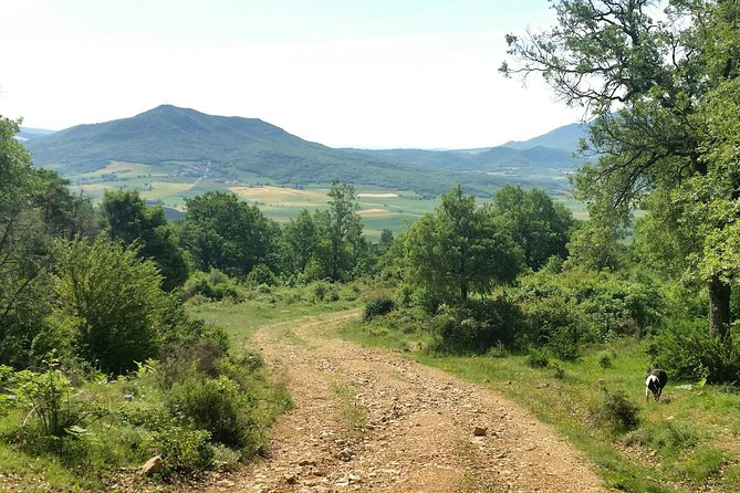 Sierra De Aracena: Grotto of Wonders, Hiking and Ecological Picnic. - Maximum Travelers per Tour