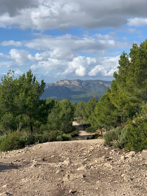 Sierra De Tramuntana Hiking Experience - What to Expect on the Trail