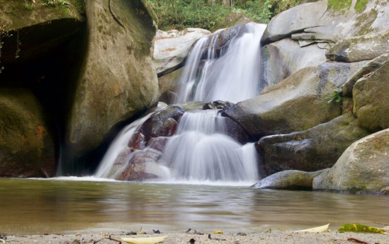 Sierra Minca Day Tour - Included in the Tour