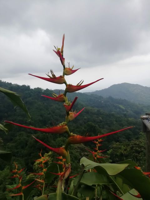 Sierra Minca Day Tour - Duration and Price