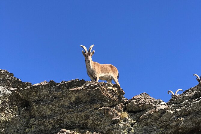 Sierra Nevada 4x4 Tour to 8000 Feet ( Skip the Heat of the City) - Mulhacen and Biodiversity