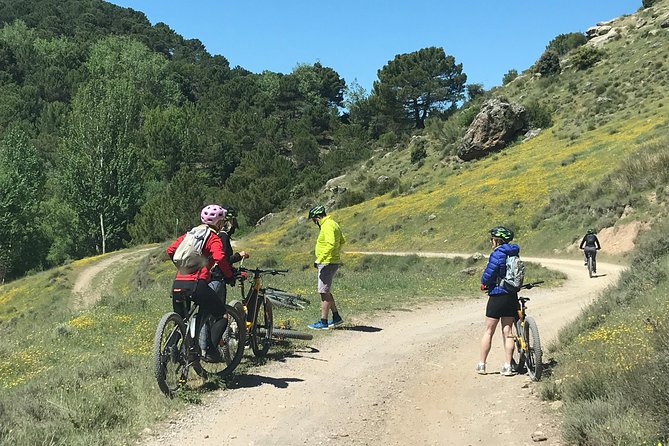 Sierra Nevada Ebike Tour Small Group - Price