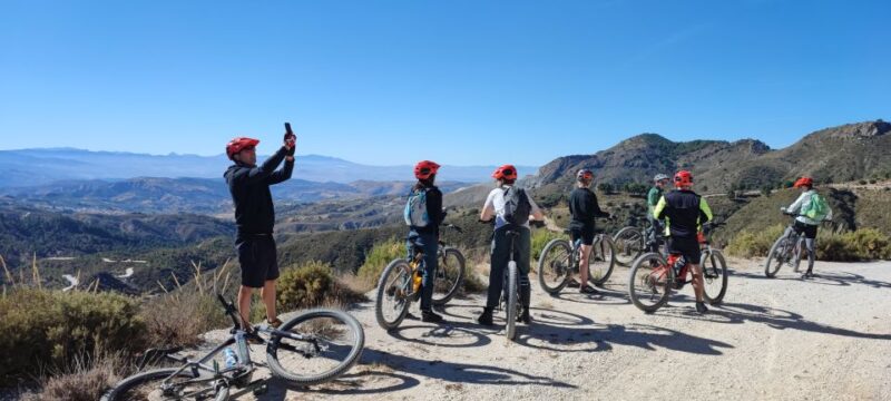 Sierra Nevada Small Group E-Bike Tour - Wildlife Spotting