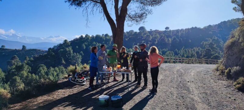 Sierra Nevada Small Group E-Bike Tour - Guided Tour Experience