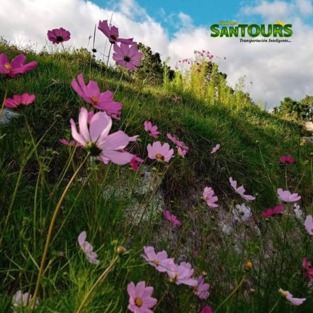 Sierra Norte: Eco Adventure Tour - Whats Included