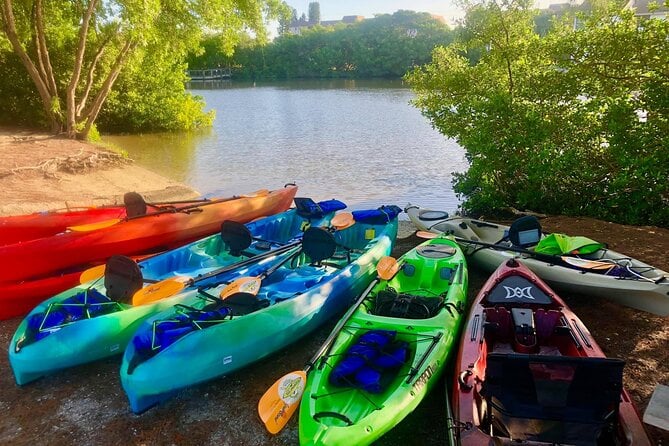 Siesta Key Guided Eco Tour - Exploring the Eco-Friendly Environment