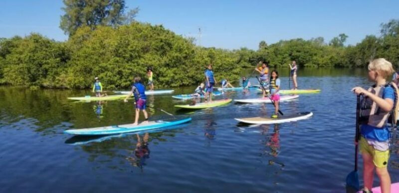 Siesta Key: Mangrove Kayak or Paddleboard Tour - Key Points