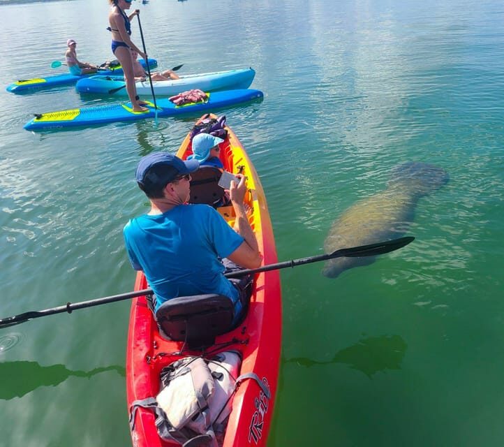 Siesta Key: Mangrove Kayak or Paddleboard Tour - The Sum Up: Who is This Tour Best For?