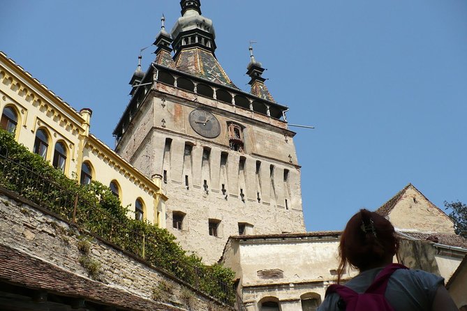 Sighisoara - Viscri Day Trip From Brasov - Good To Know