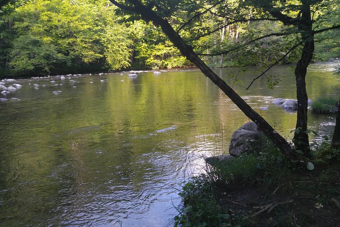 Sights of Smoky Mountains, Real Local History - Visiting Gatlinburg and Townsend