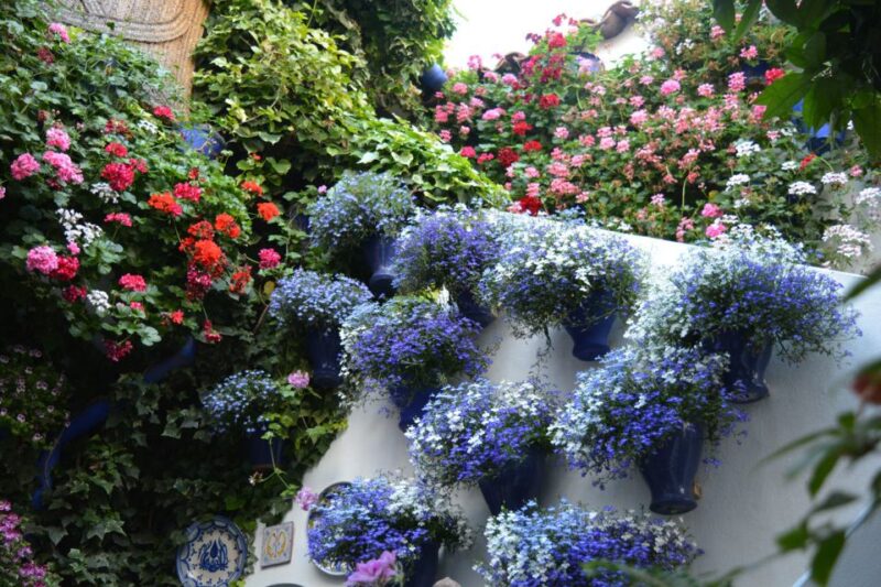 Sights, Sounds, and Scents of Córdobas Patios - Highlights of the Tour