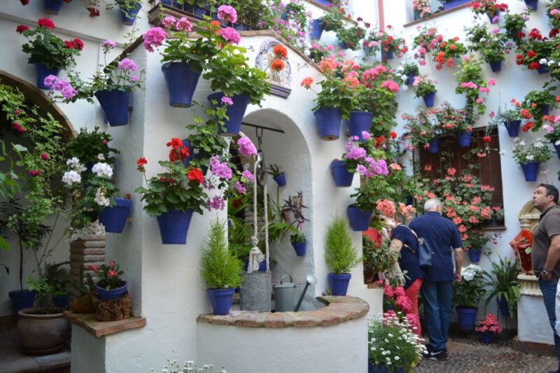 Sights, Sounds, and Scents of Córdobas Patios - Wine Tasting and Tapas