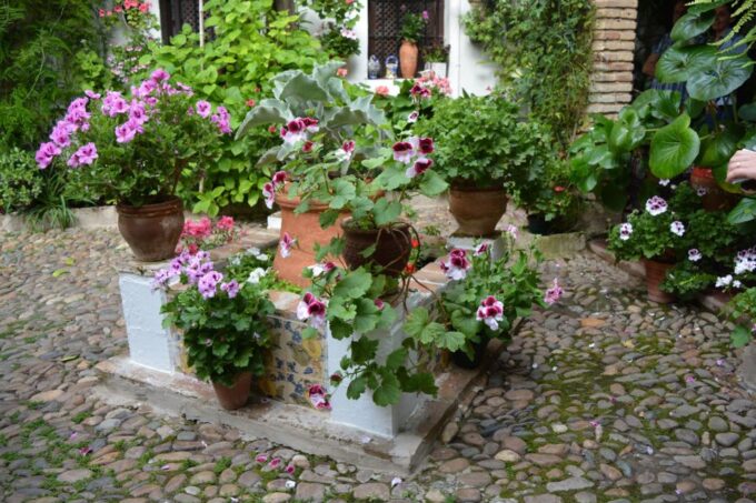 Sights, Sounds, and Scents of Córdobas Patios - Tour Inclusions and Pricing