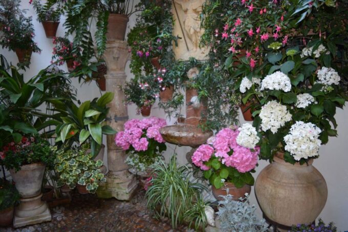 Sights, Sounds, and Scents of Córdobas Patios - Customer Feedback and Ratings