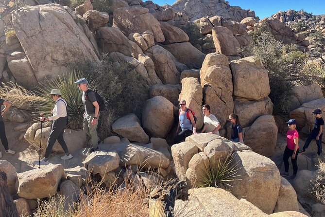 Sightseeing Adventure Tour of Joshua Tree National Park - Meeting and Pickup Details