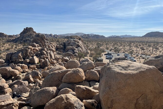 Sightseeing Adventure Tour of Joshua Tree National Park - Accessibility and Age Requirements