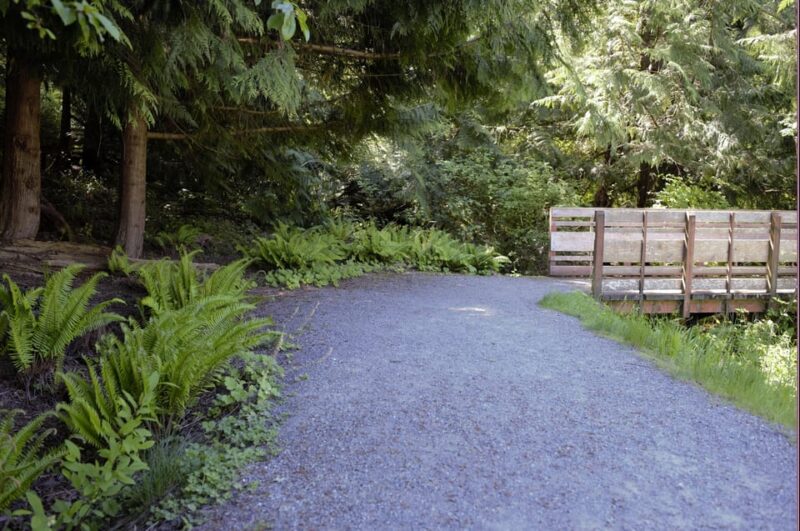 Sightseeing and Educational Farm Tour on Bainbridge Island - Immerse in Sustainable Agricultural Practices