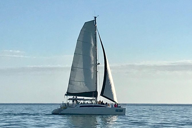 Sightseeing and Sunset Catamaran Sailing Excursion - Cancellation Policy