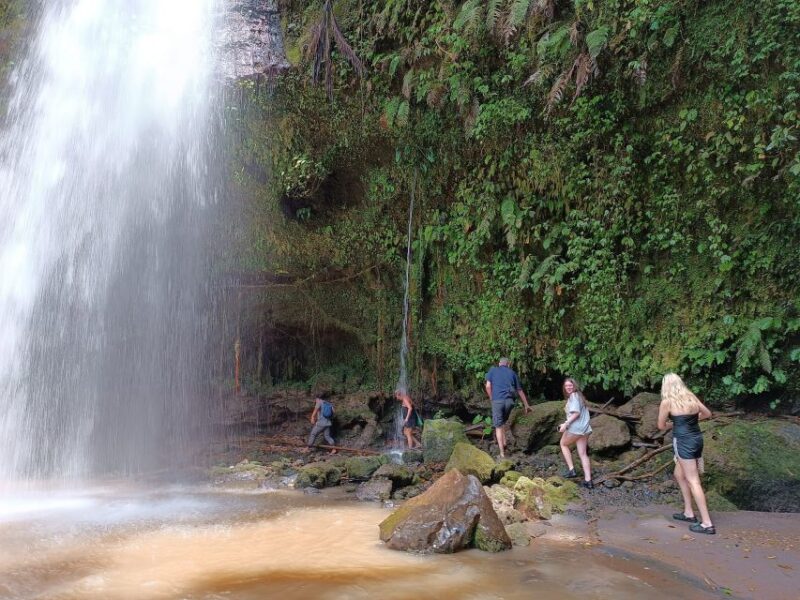 Sightseeing and Walking on Rice Terrace & Explore Waterfalls - Included in the Tour