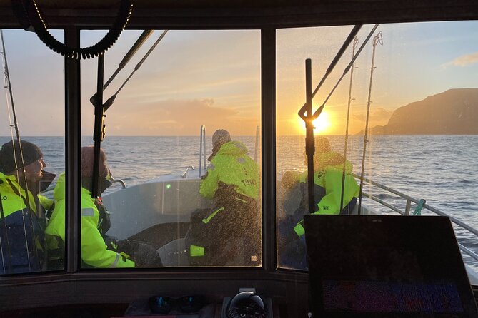 Sightseeing Around Nólsoy to See Puffins - Safety and Accessibility Information