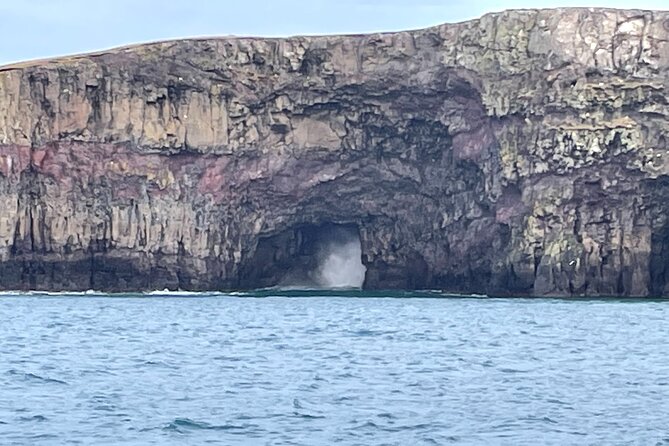 Sightseeing Around Nólsoy to See Puffins - Guided Tour Highlights