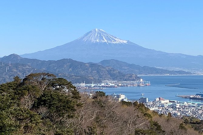 Sightseeing Around Shimizu Port for Cruise Ship Passengers - Meeting and Pickup Information