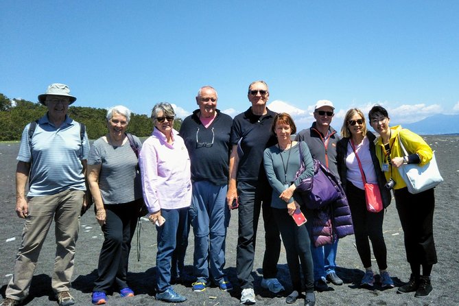 Sightseeing Around Shimizu Port for Cruise Ship Passengers - Accessibility and Physical Requirements