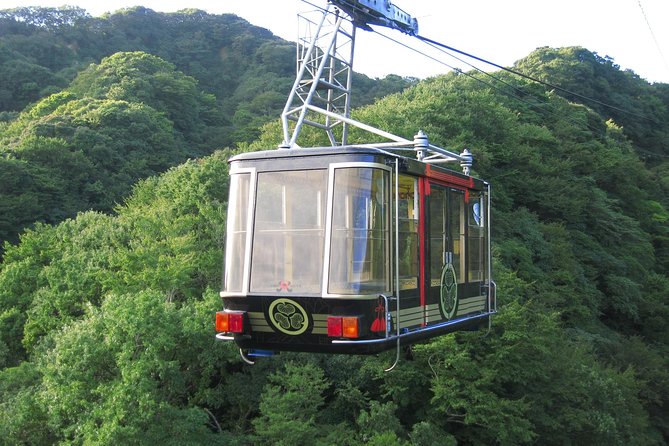 Sightseeing Around Shimizu Port for Cruise Ship Passengers - Shrine Access and Ropeway