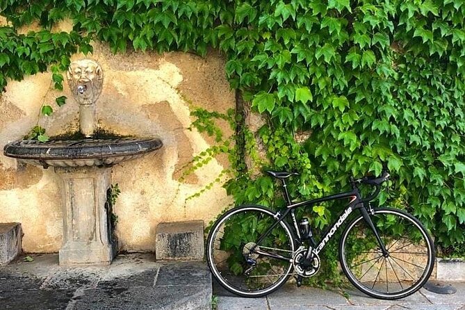 Sightseeing Bike Tour Amalfi Coast - Positive Customer Feedback