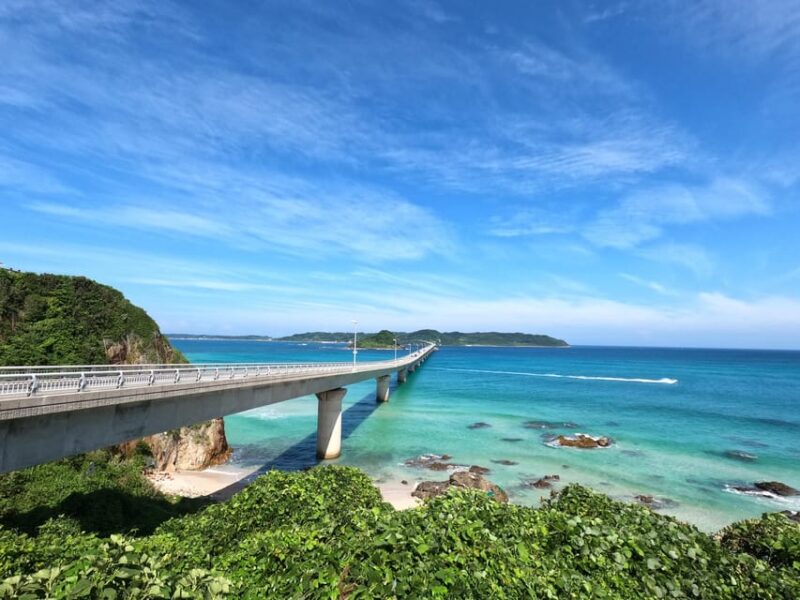Sightseeing Bus Tour "Happiness Tours on the Yamaguchi-go A" - Cancellation Policy