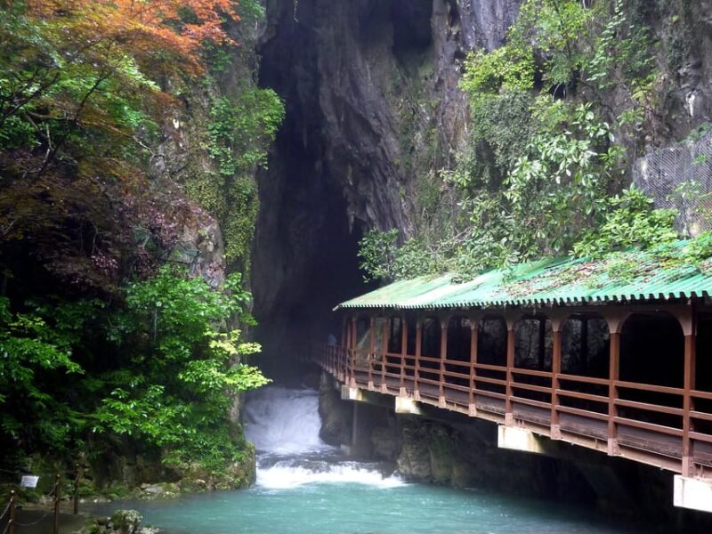 Sightseeing Bus Tour Happiness Tours on the Yamaguchi-go B - Highlights