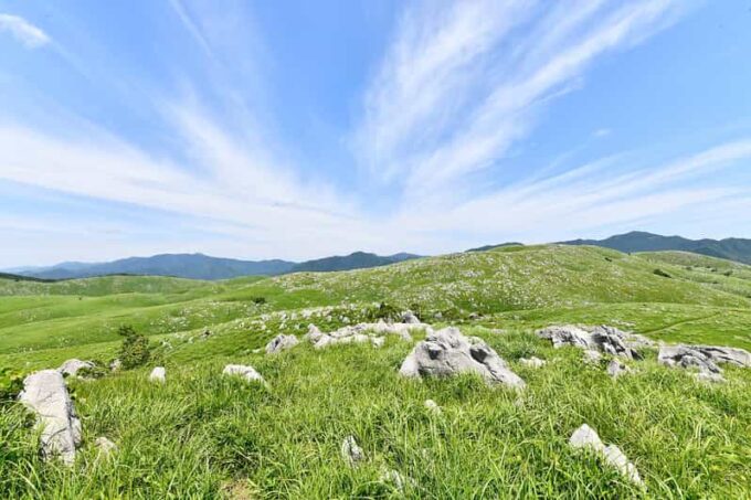 Sightseeing Bus Tour Happiness Tours on the Yamaguchi-go B - Hagi Castle Town